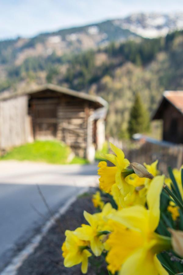 Casa Pasch - Boutique Bed And Breakfast In Cumpadials Sumvitg Экстерьер фото